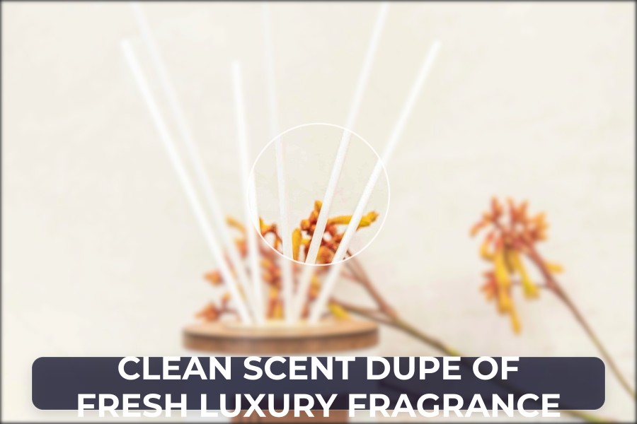 clean scent dupe of fresh luxury fragrance