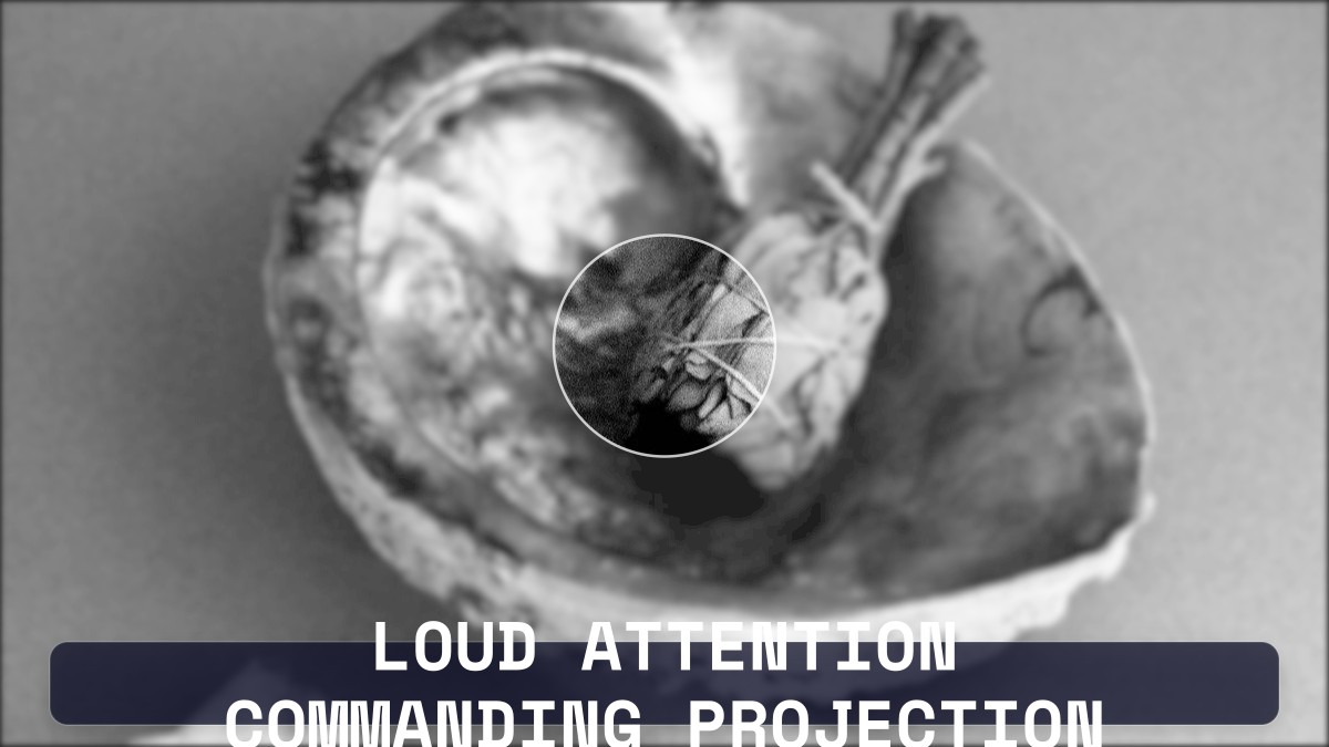loud attention commanding projection