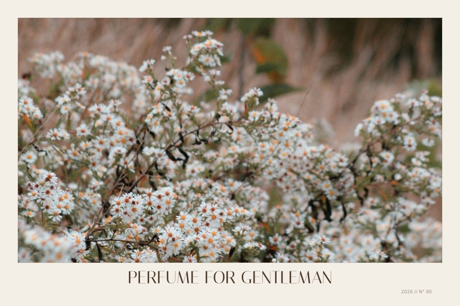 perfume for gentleman